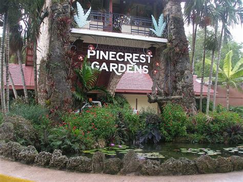 village of pinecrest.